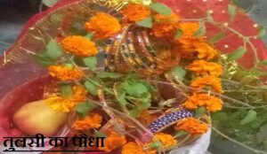 tulsi vivah