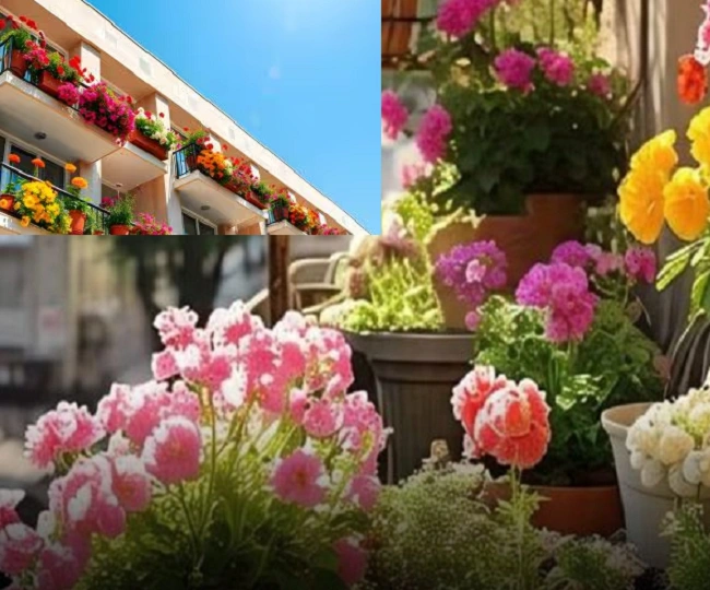 FIR will be filed against those who keep flower pots on balcony walls