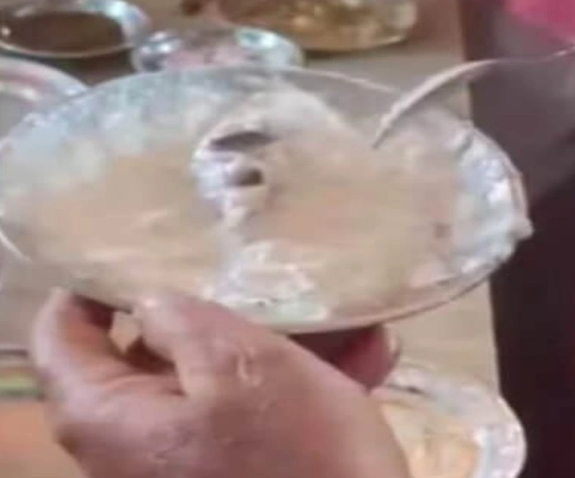 dead rat found in plate of Dahi Bhalla