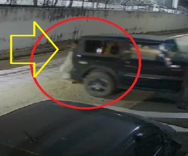 Elderly woman crushed to death by Thar