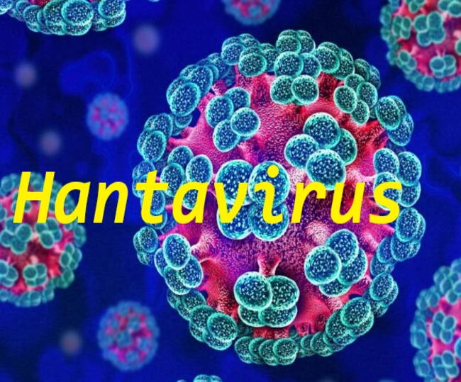 Hantavirus