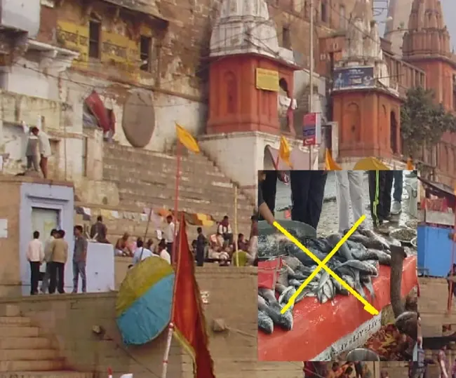 Varanasi Meat and fish will no longer be available