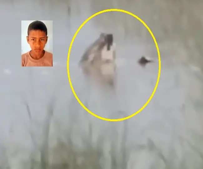 crocodile killed and ate 12 year old boy
