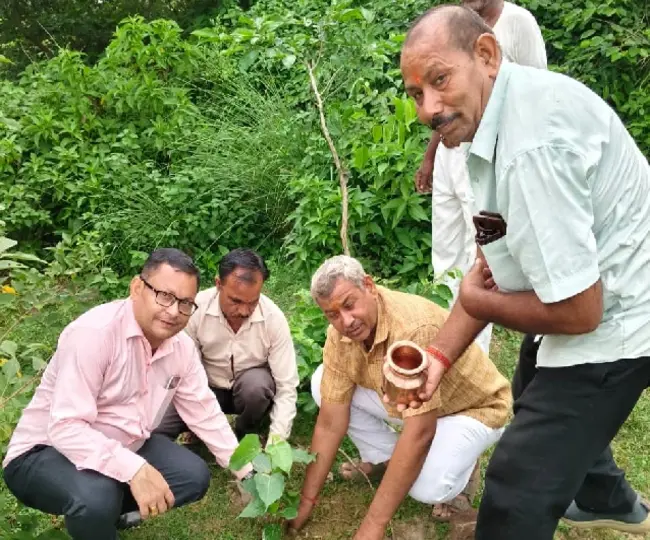 Brahmin Utthan Mahasabha tree plantation