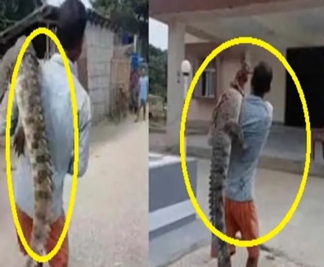 young man reached police station with crocodile