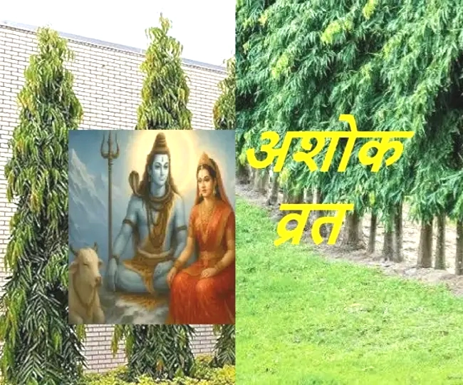 Ashoka Vrat
